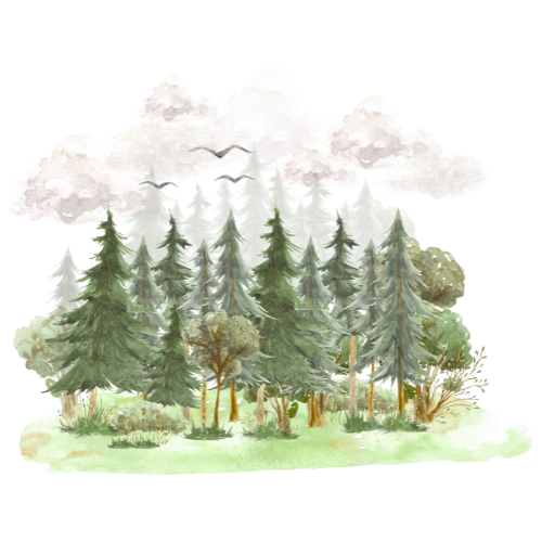 About FrostHaven.cyou